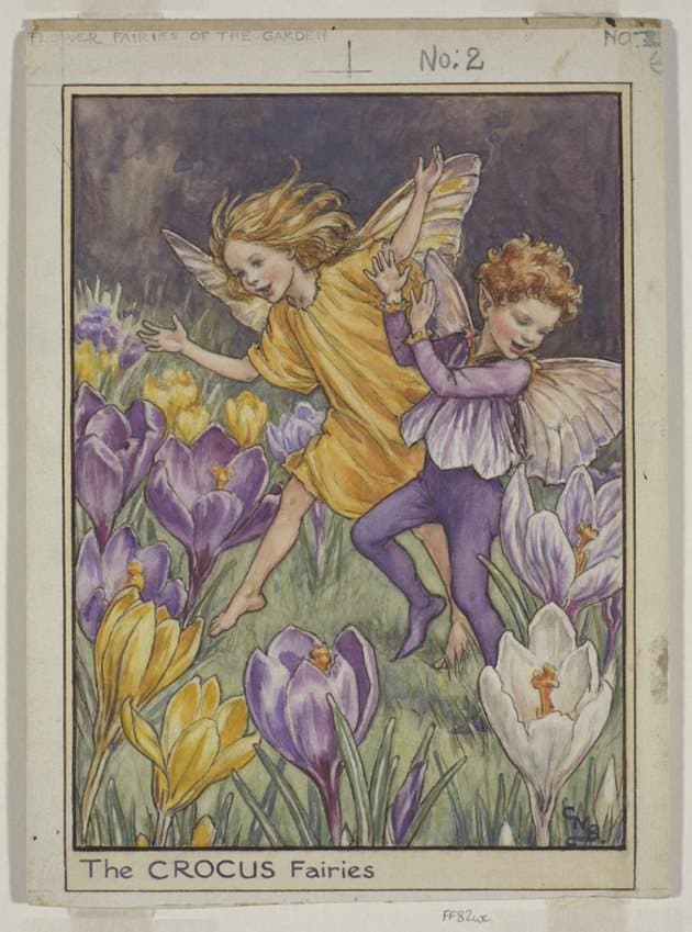 'The Crocus Farieis' by Cicely Mary Barker.