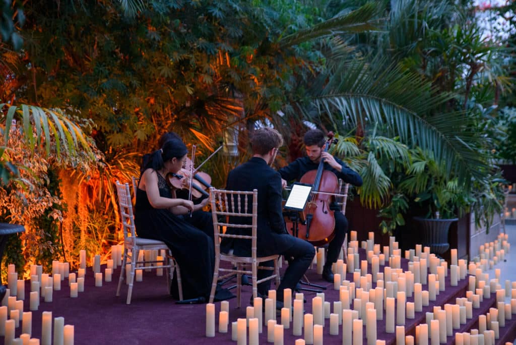 A string quartet play, surrounded by candles at Sefton Park Palm House.