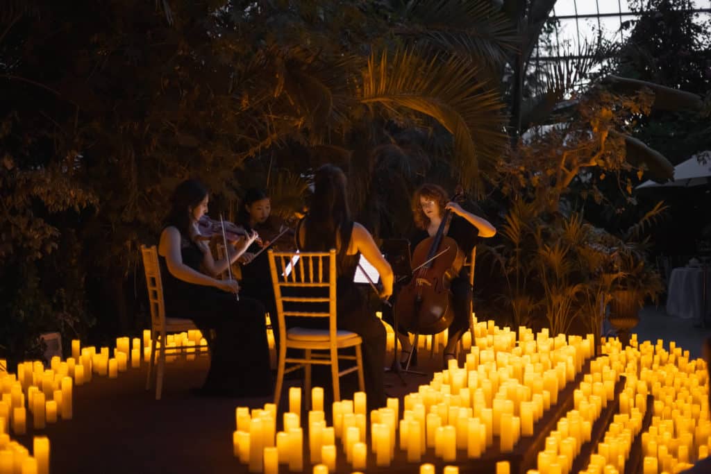 A string quartet play, surrounded by candles at Sefton Park 's Palm House.