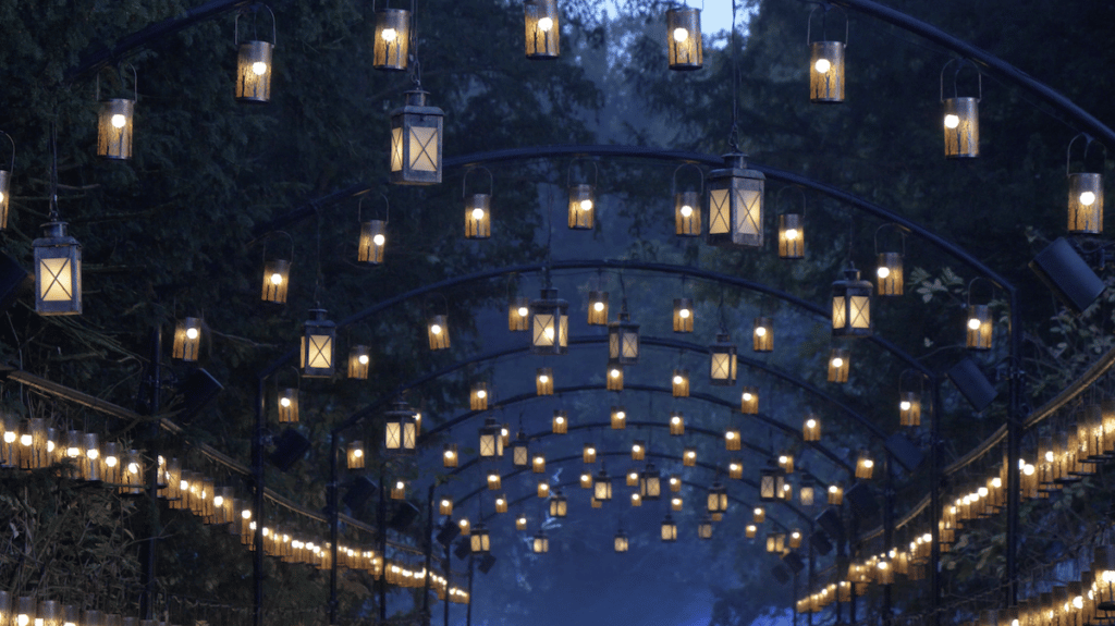 corridor of lanterns among trees at night