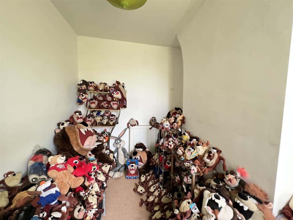 A room in a Liverpool house fill with teddies or plushies of Taz from Looney Tunes.