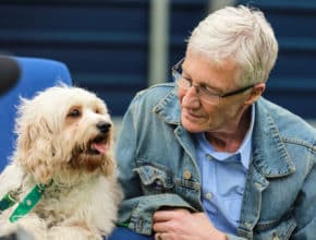 Dogs Will Line The Streets Of Birkenhead In Honour Of Paul O’Grady Today